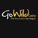 Play Casino Slot Games at Go Wild Casino